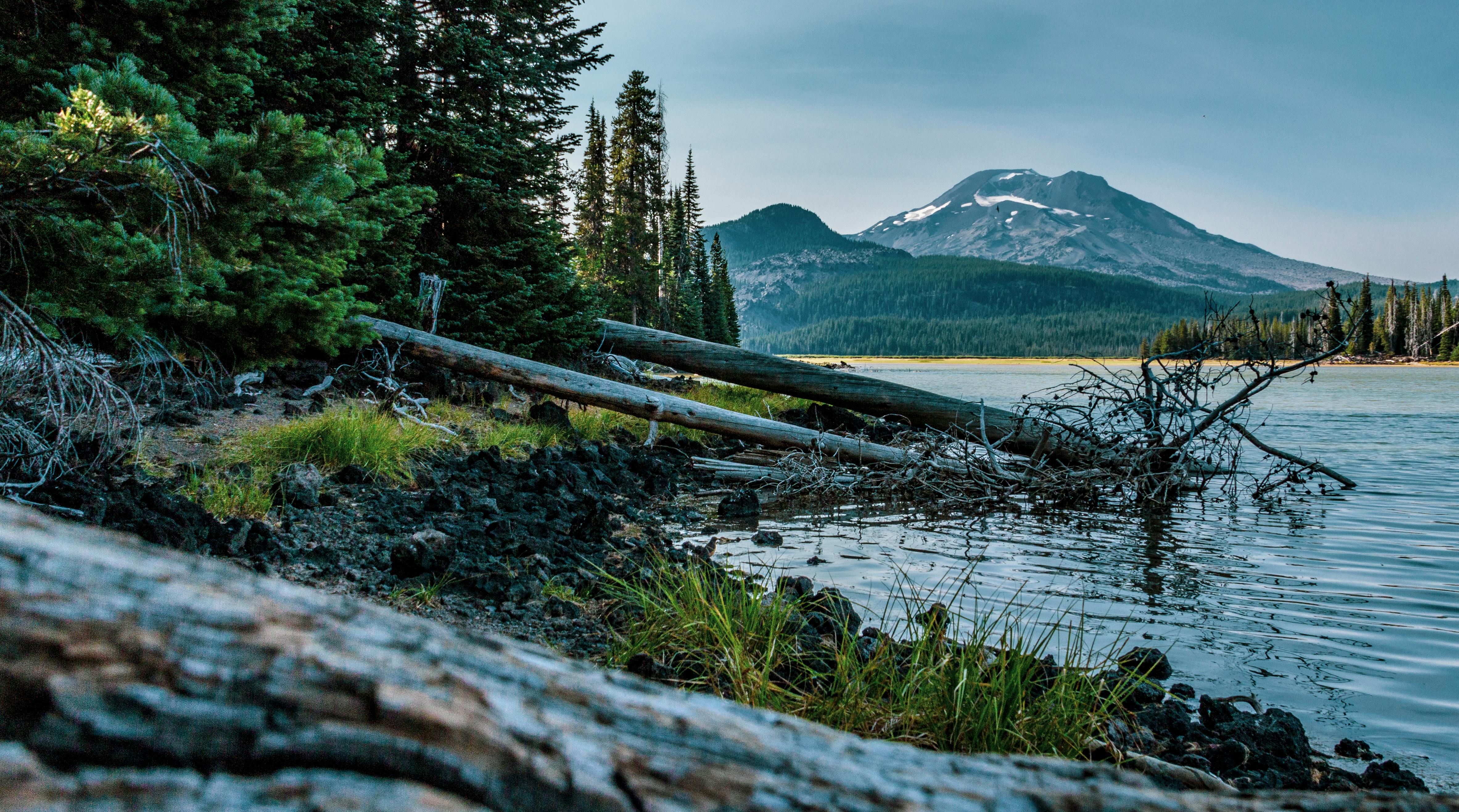 Sparks Lake shoreline at dusk, Bend Oregon
